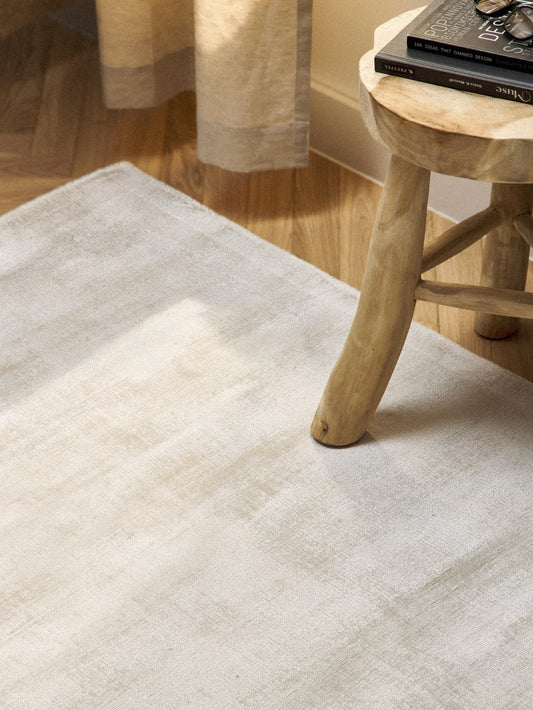 Janspehr Viscose Rug, Hand-Woven