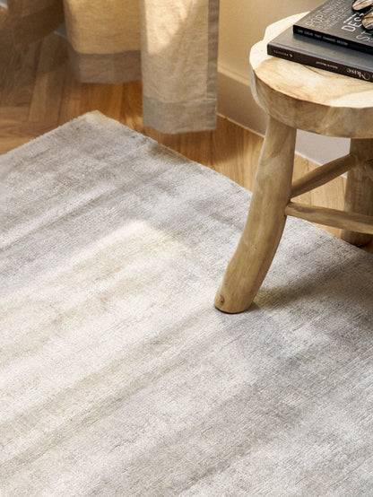 Janspehr Viscose Rug, Hand-Woven